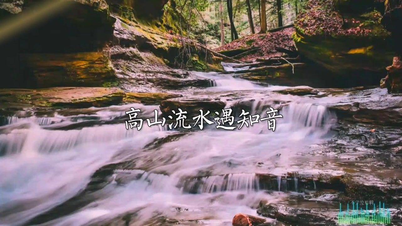 你能理解餐厅大量使用预制菜吗?-极速解答,即刻满足你的知识需求